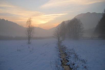 winter_morgenstimmung.jpg